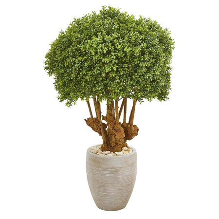 NEARLY NATURALS 41 in. Boxwood Artificial Topiary Tree in Sandstone Planter 9730